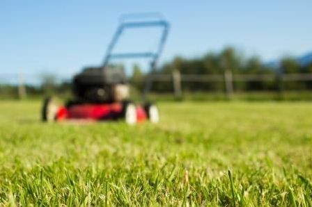 How mowing the lawn can help Finance gain better influence